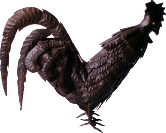 Gallo 