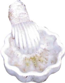 acquasantiera 